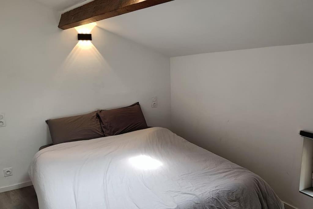 Detente - Appartement Et Poutres Apparentes Béziers Exteriör bild